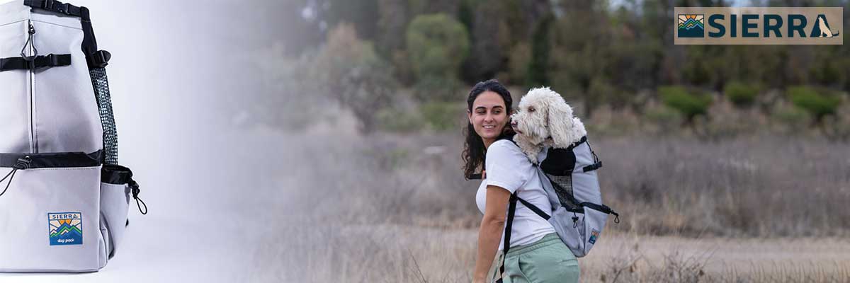 Estilo y Confort para tu Mascota