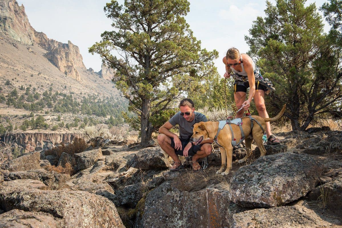 Imagen del producto 12