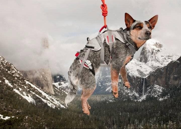 Imagen del producto 13