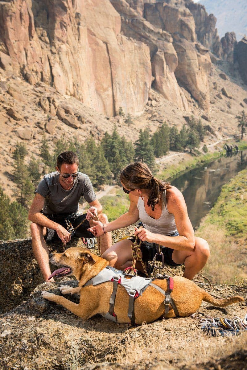 Imagen del producto 8