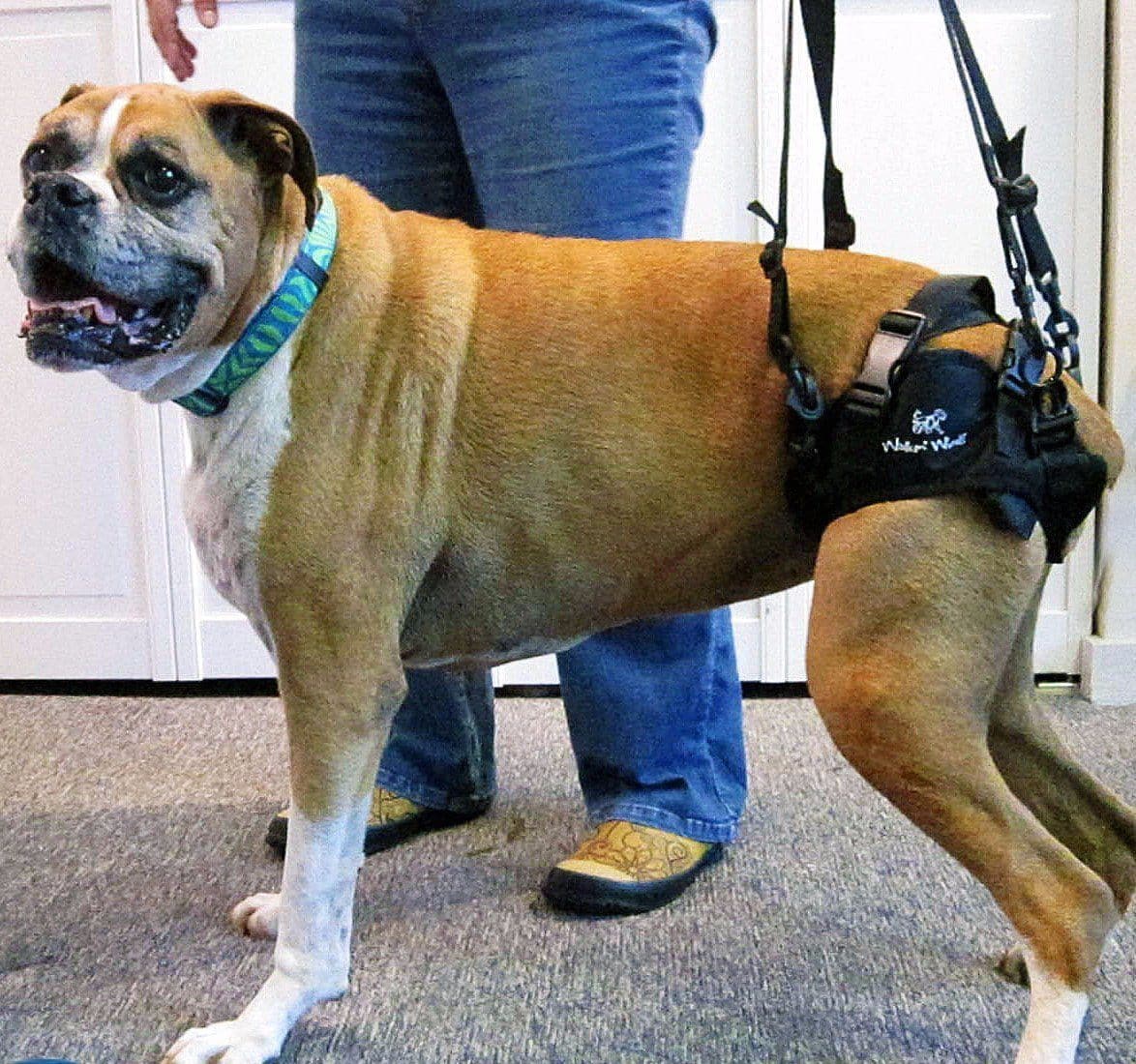 Imagen del producto 3