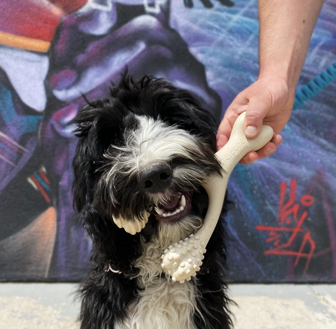 Imagen del producto 10