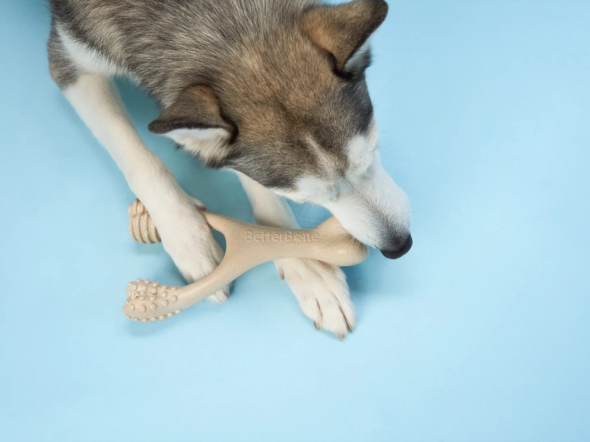 Imagen del producto 19