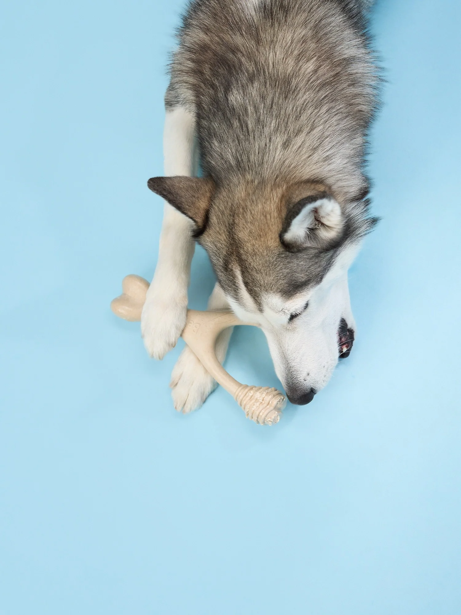 Imagen del producto 20