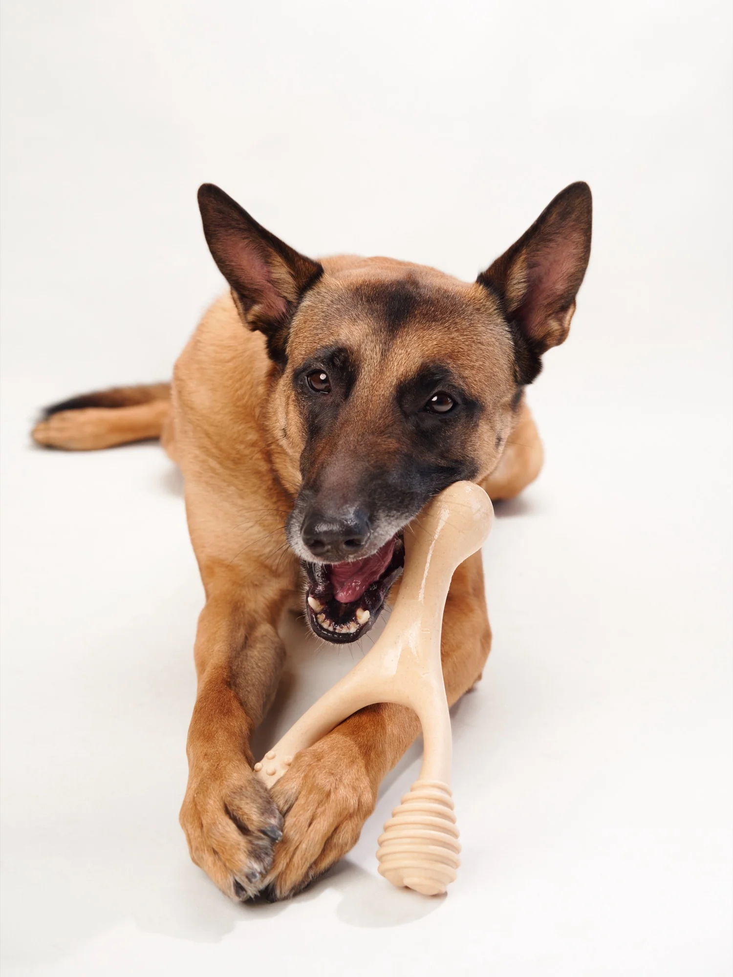 Imagen del producto 21