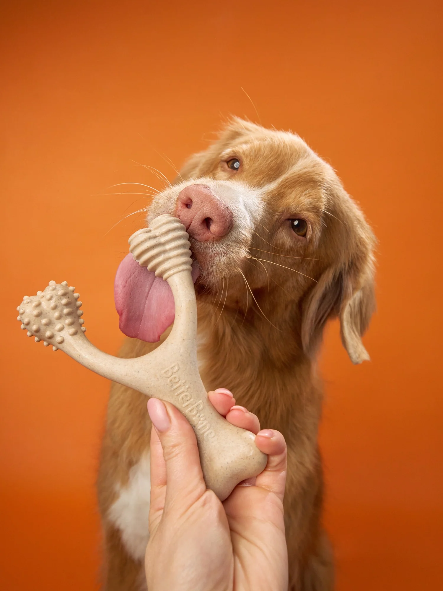 Imagen del producto 24