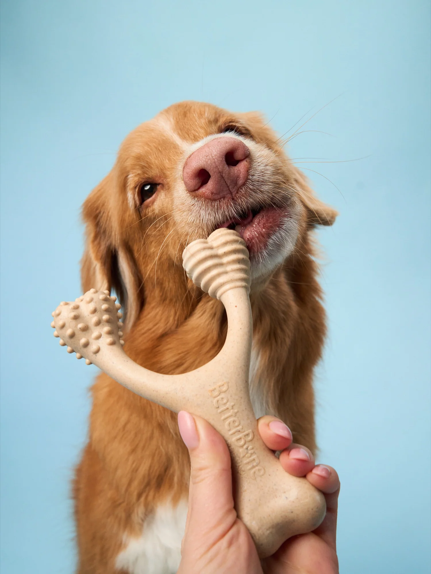 Imagen del producto 25