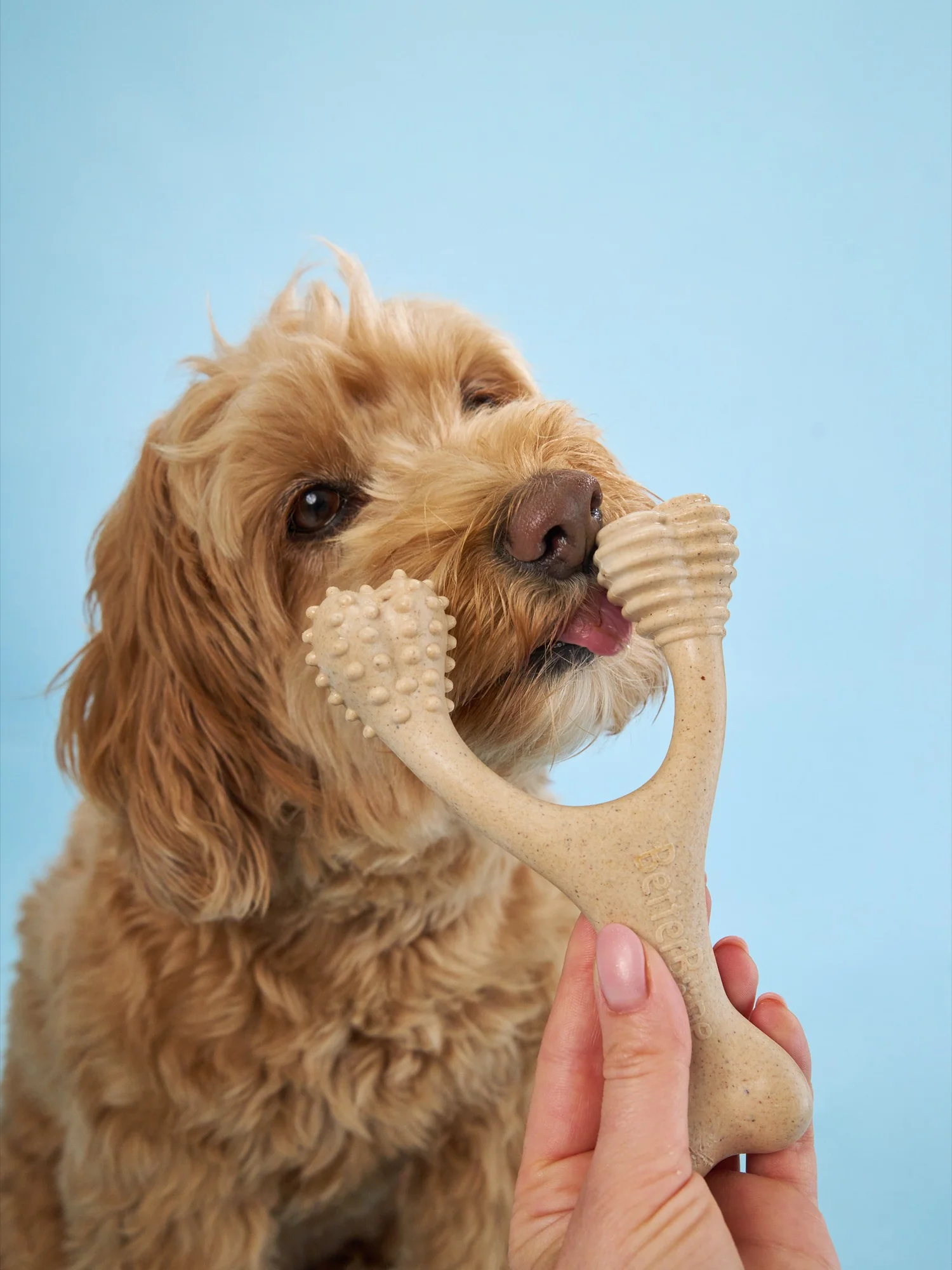 Imagen del producto 26