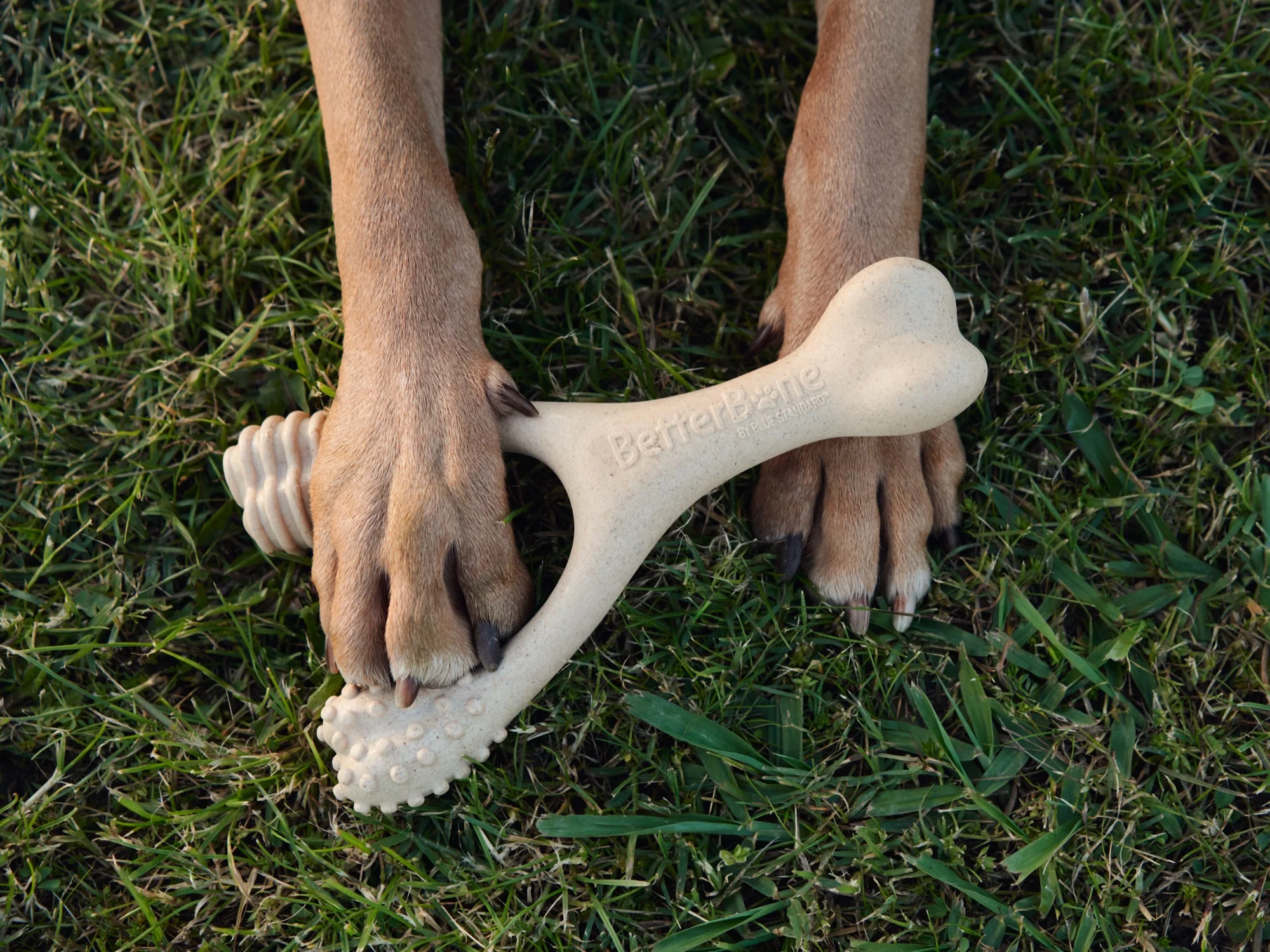 Imagen del producto 28