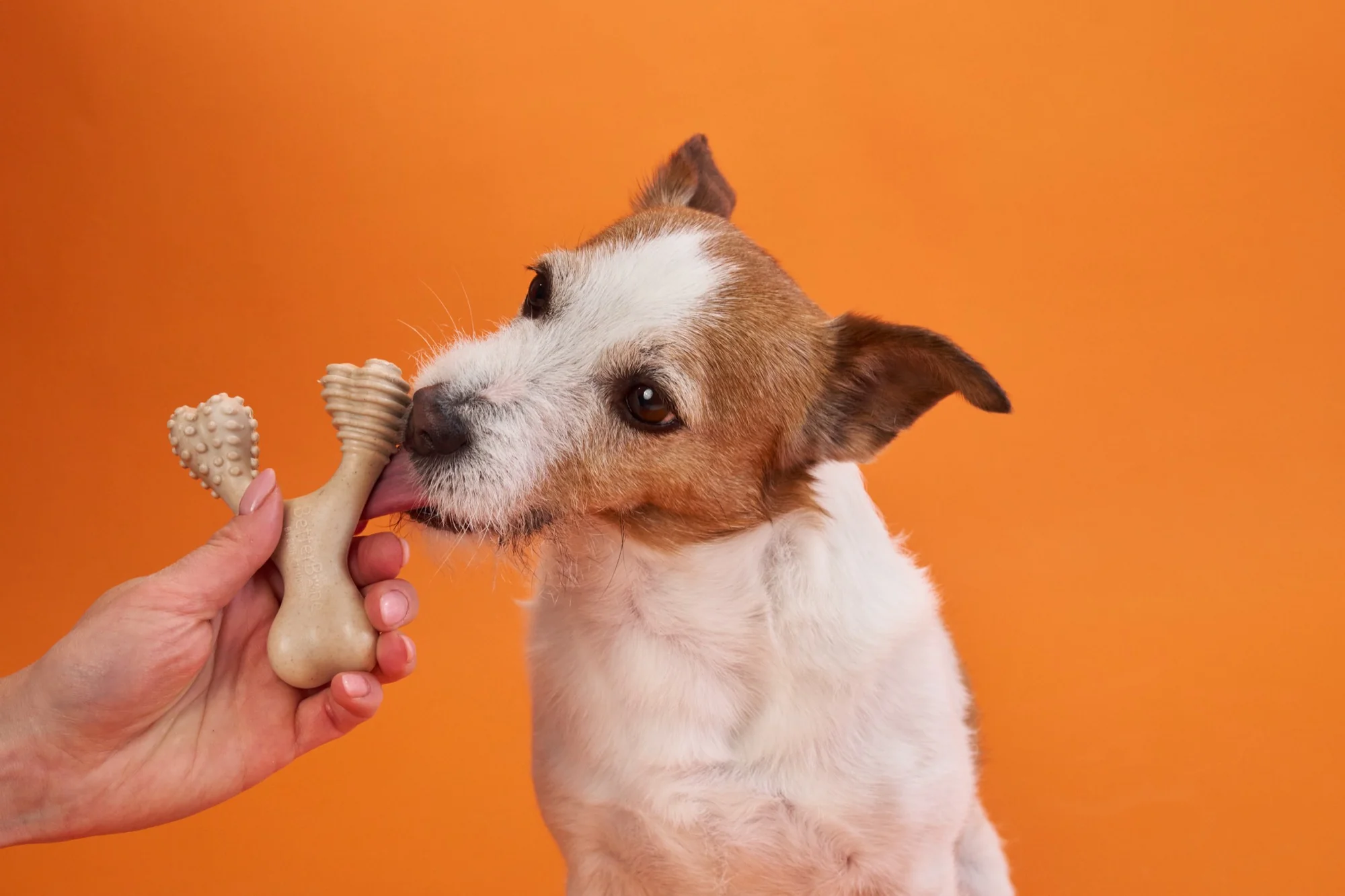 Imagen del producto 32