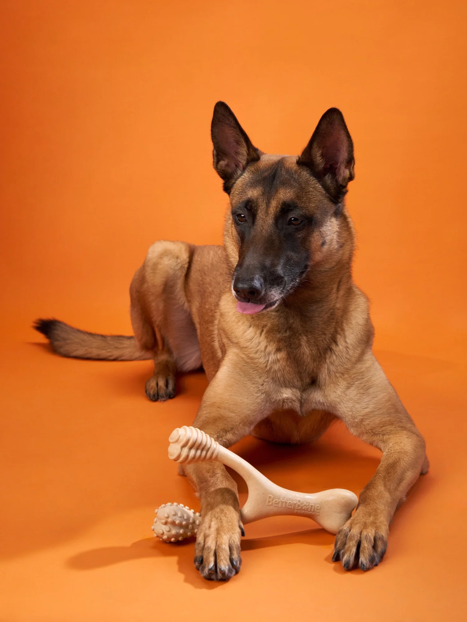 Imagen del producto 33