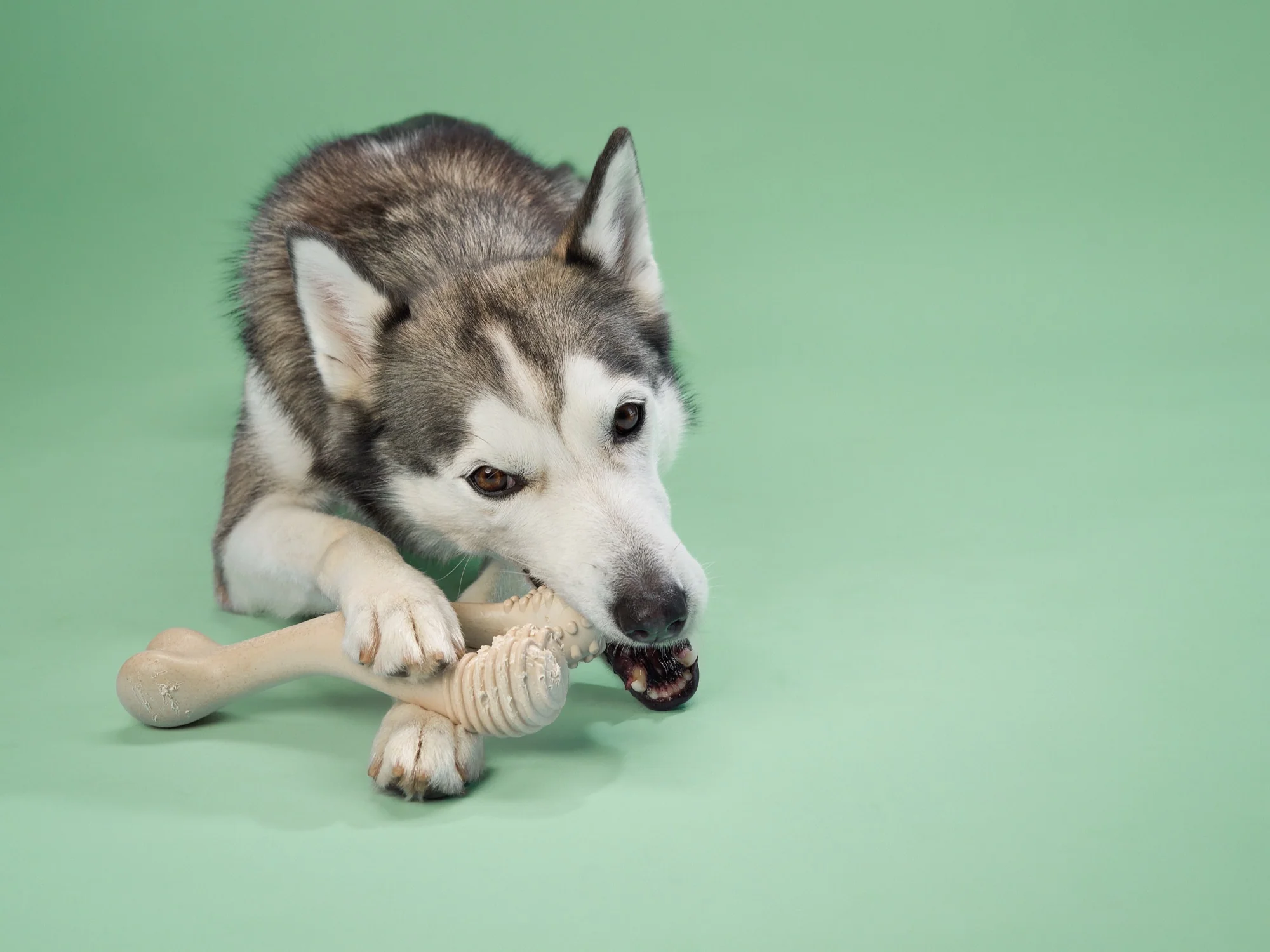 Imagen del producto 35