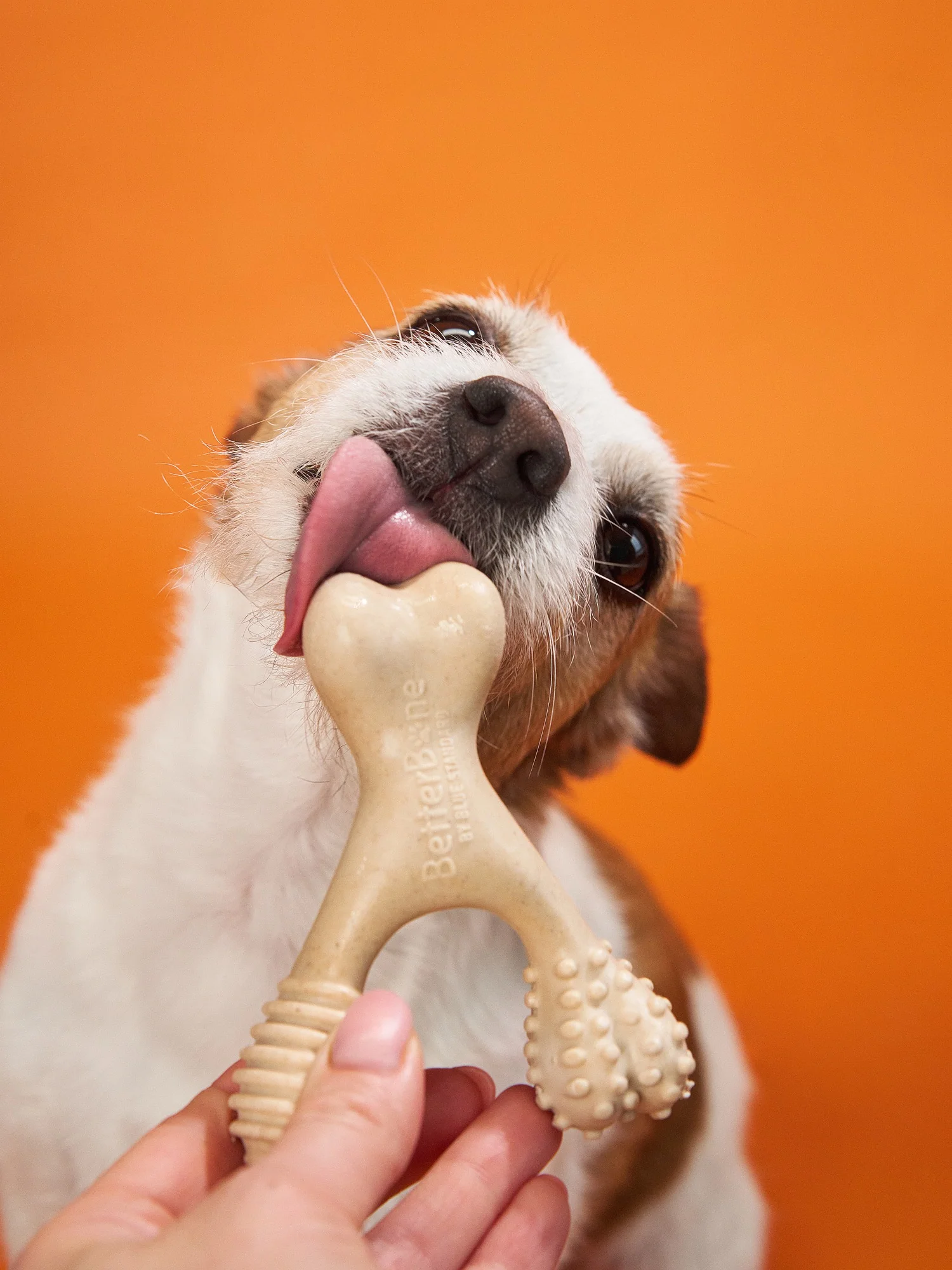 Imagen del producto 36