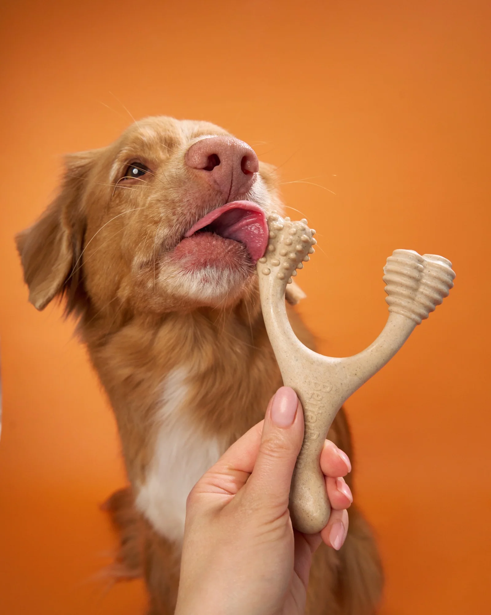 Imagen del producto 37