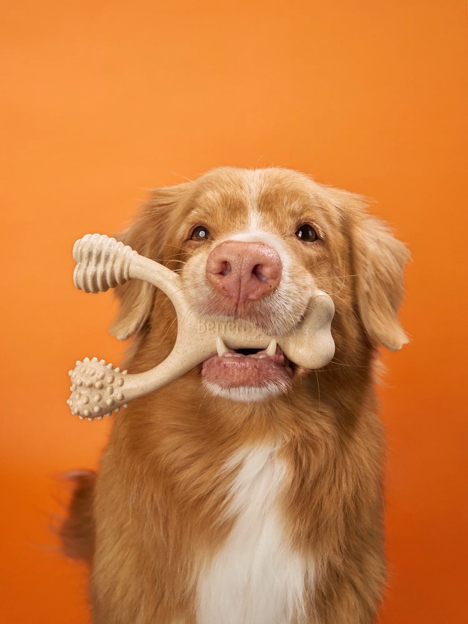 Imagen del producto 39