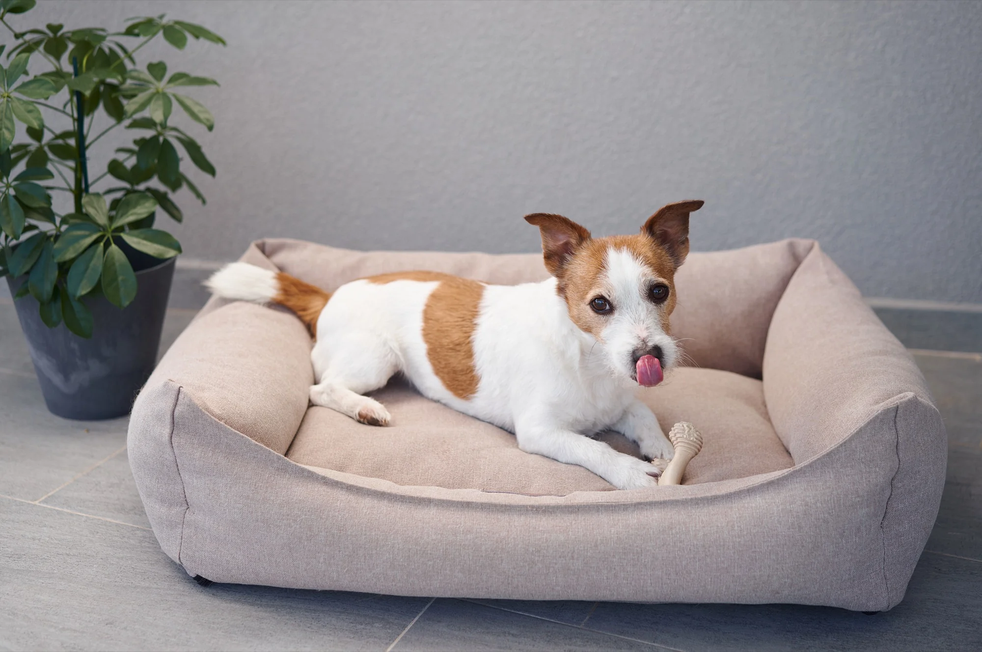 Imagen del producto 44