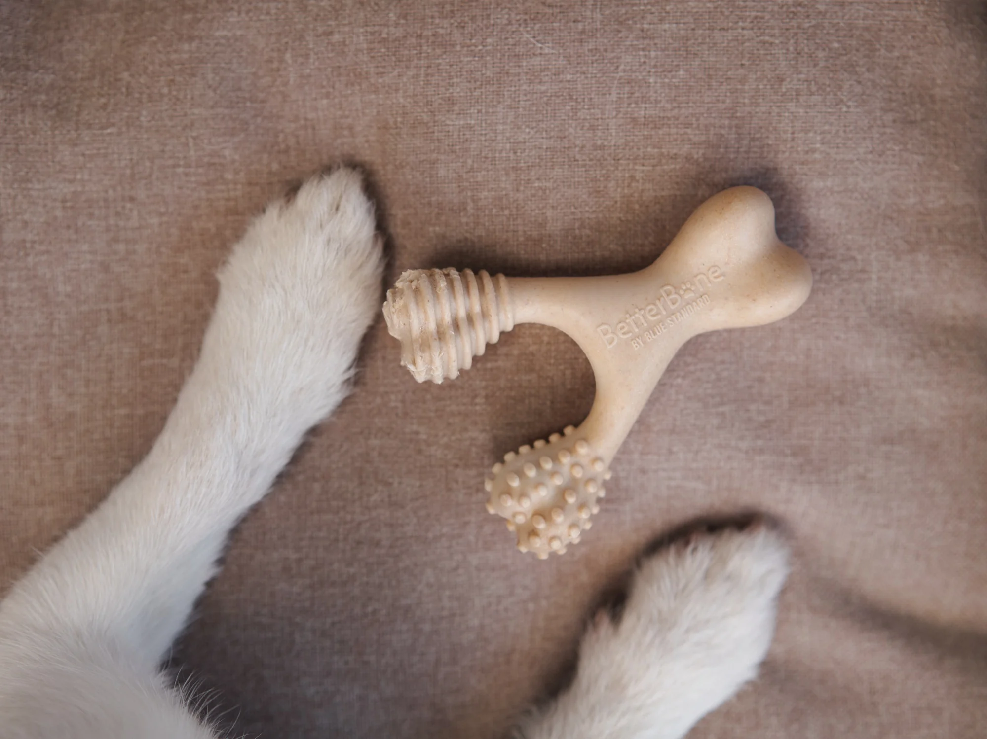 Imagen del producto 45