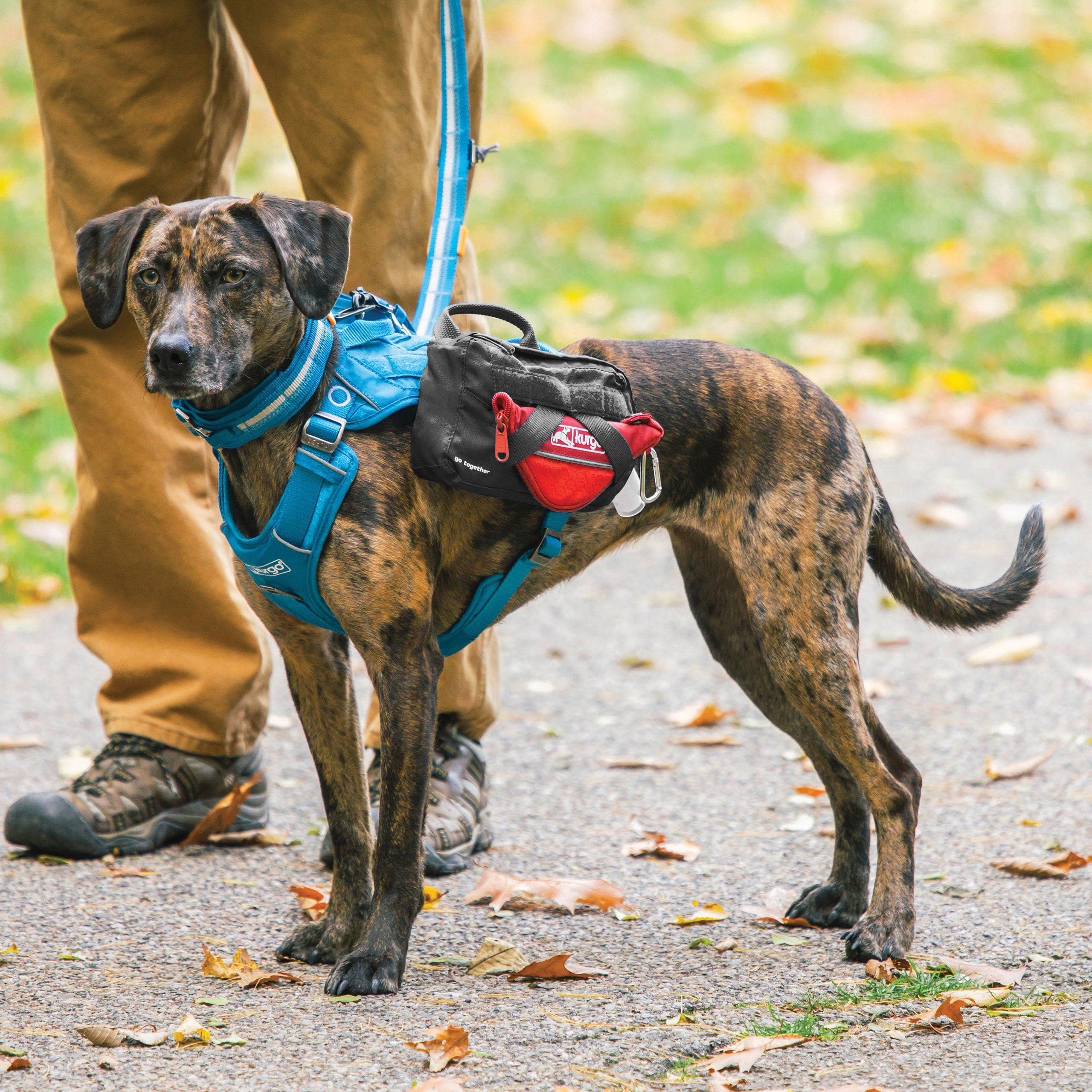 Imagen del producto 3