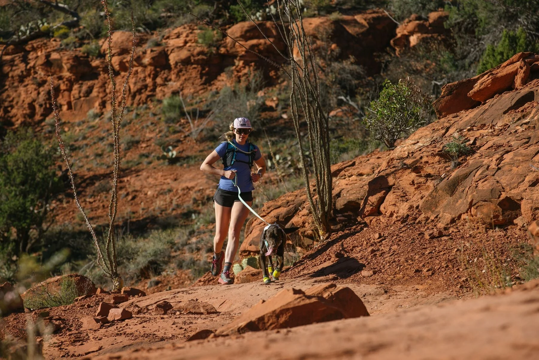 Imagen del producto 22