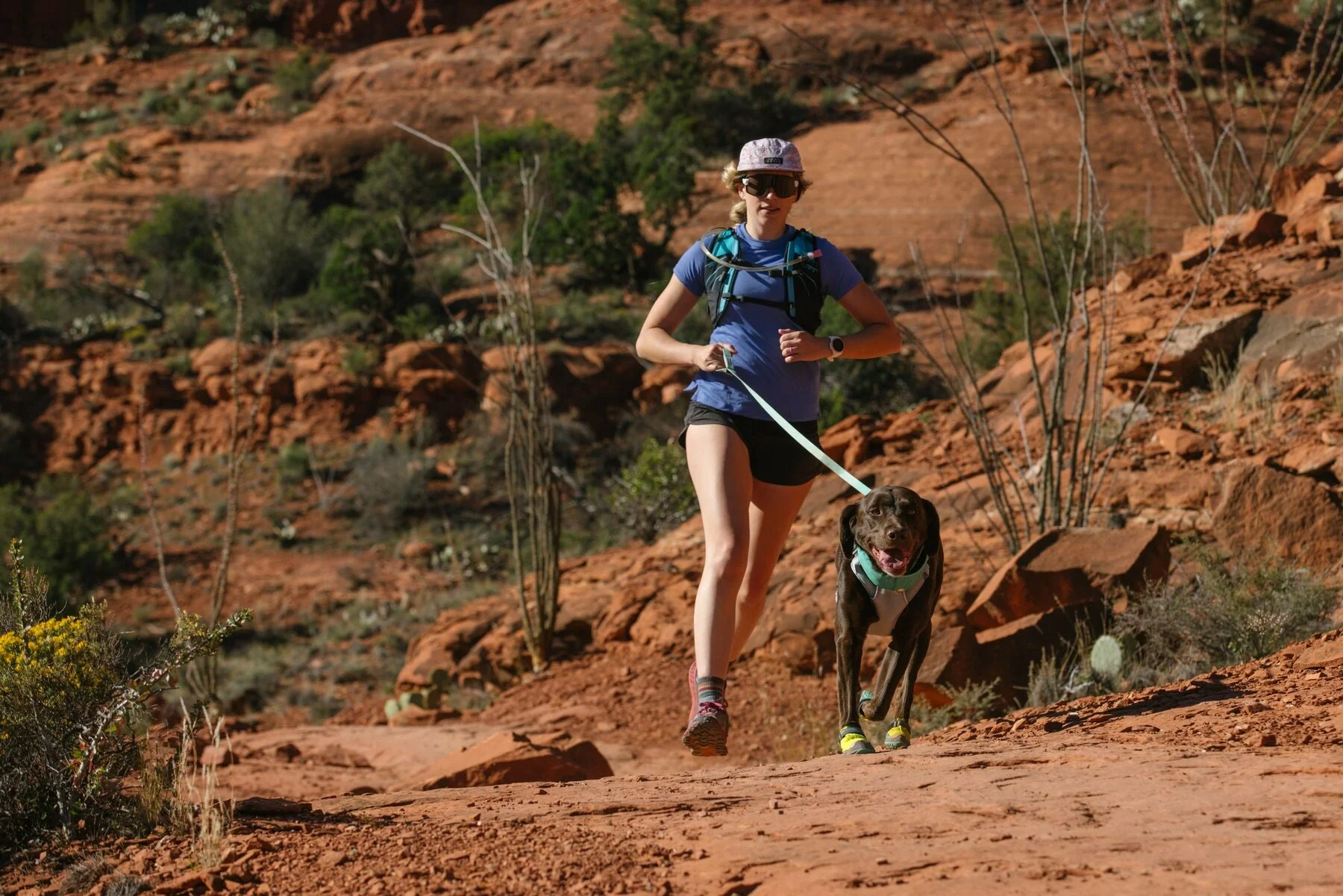 Imagen del producto 23