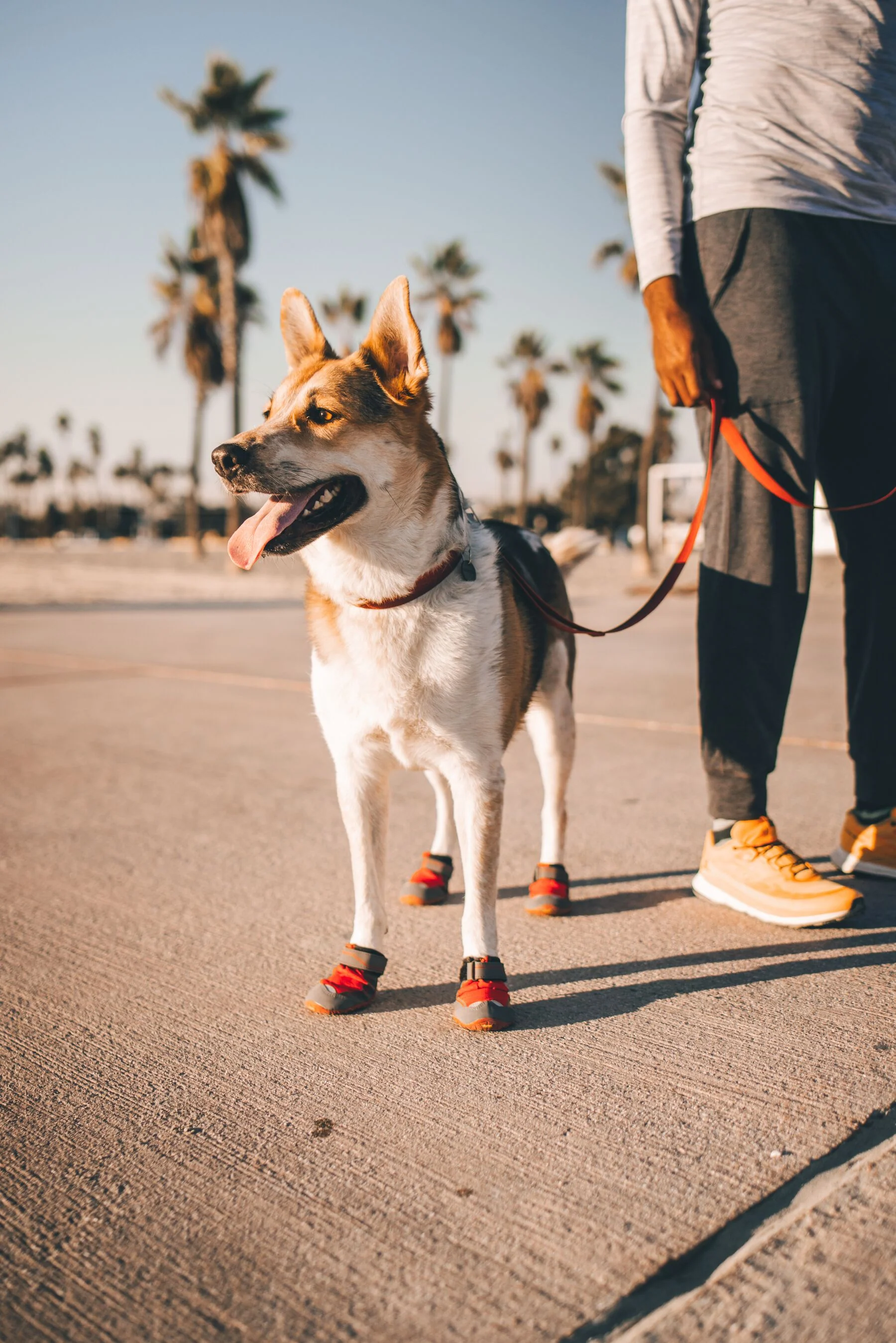 Imagen del producto 10