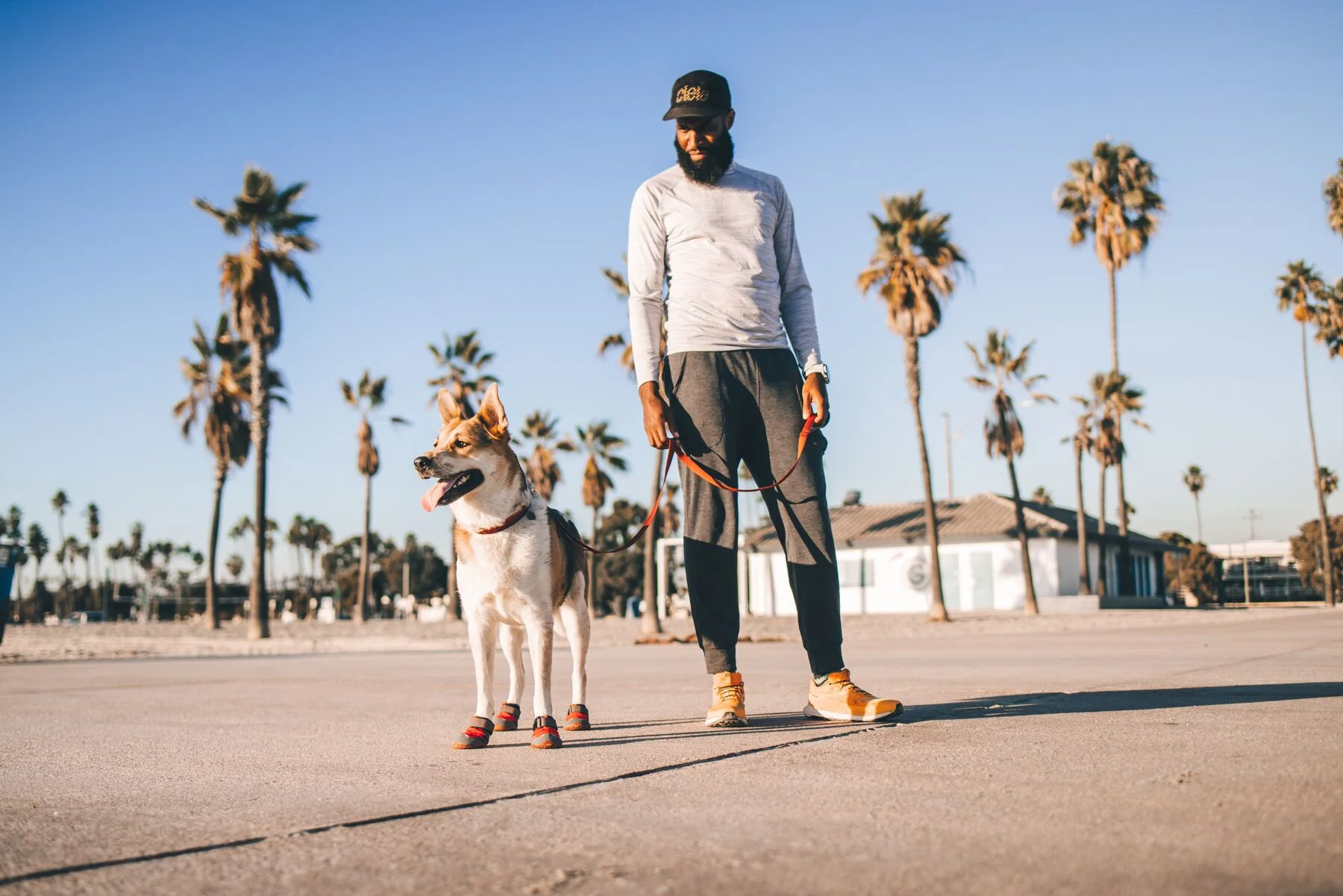 Imagen del producto 11