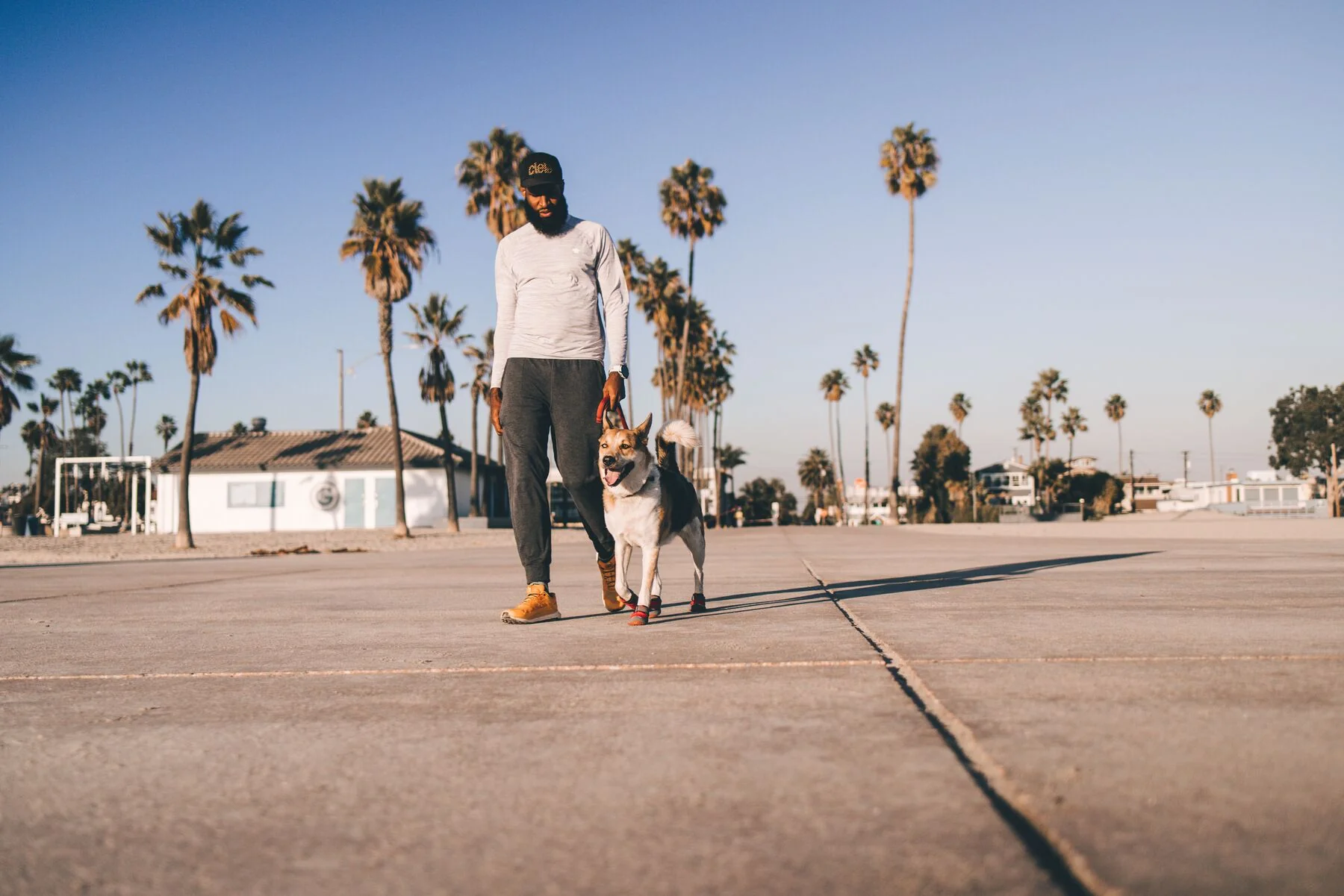 Imagen del producto 12