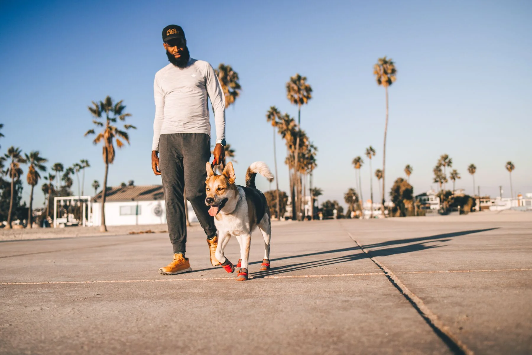 Imagen del producto 13