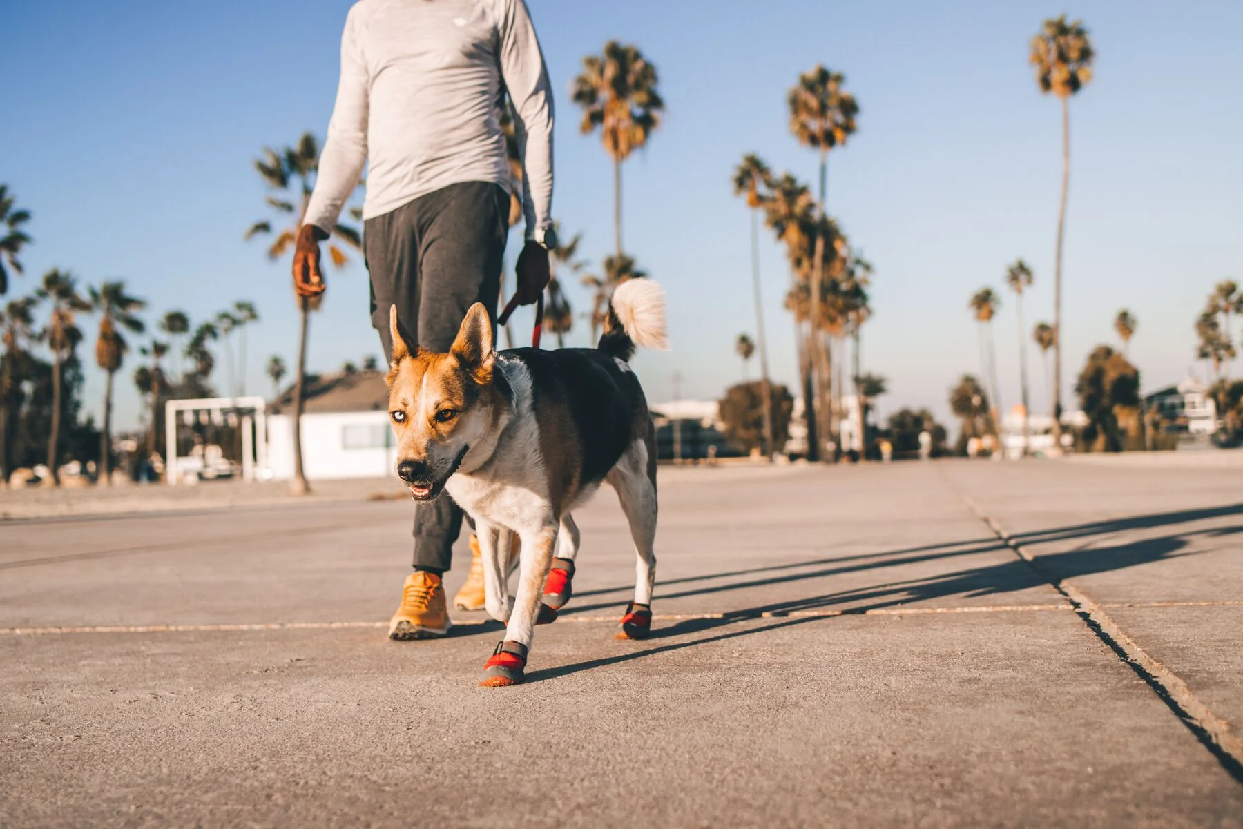 Imagen del producto 14