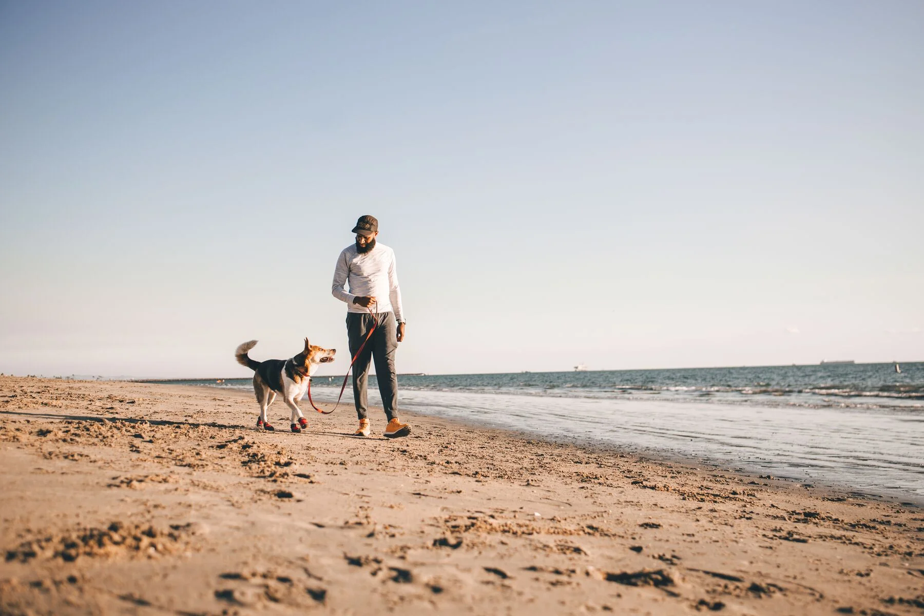 Imagen del producto 6