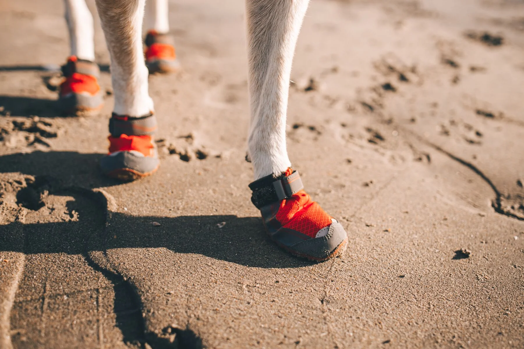 Imagen del producto 8