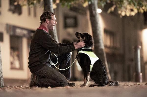 Imagen del producto 4