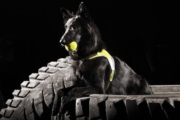 Imagen del producto 5