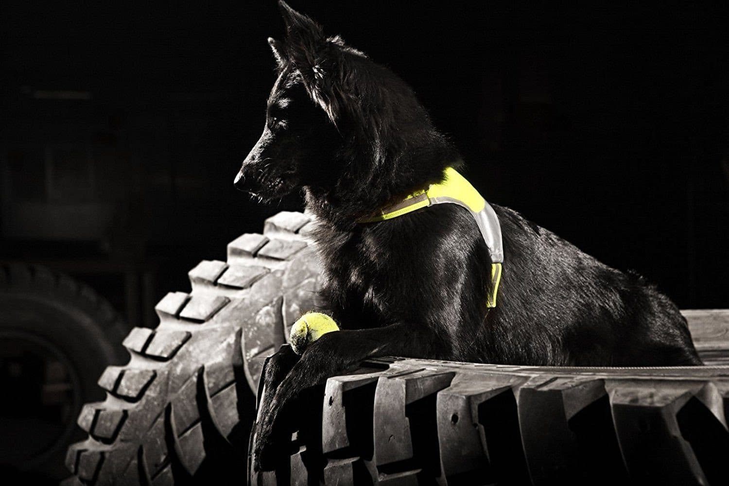 Imagen del producto 6