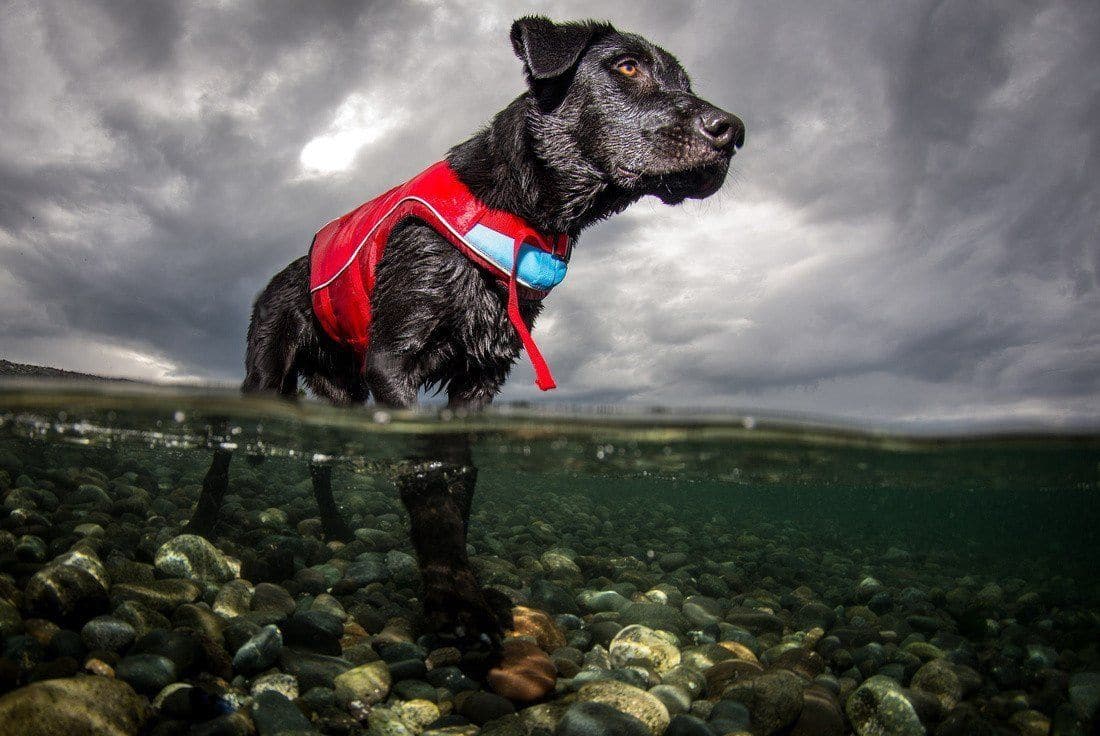 Imagen del producto 10