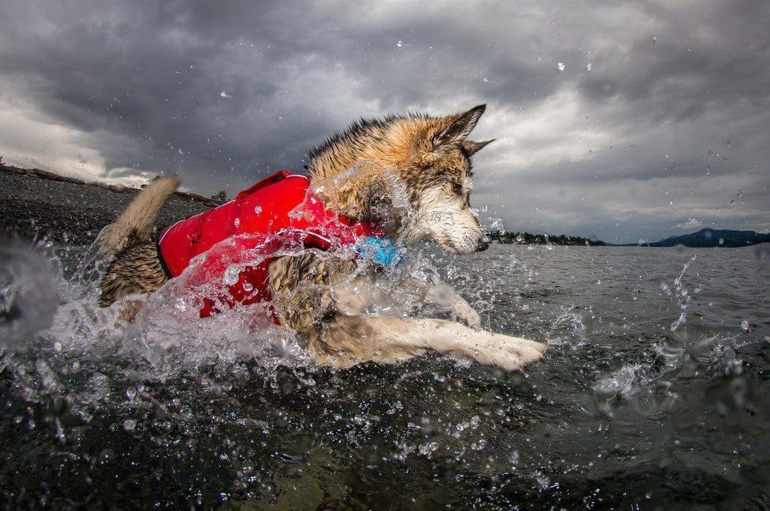 Imagen del producto 11