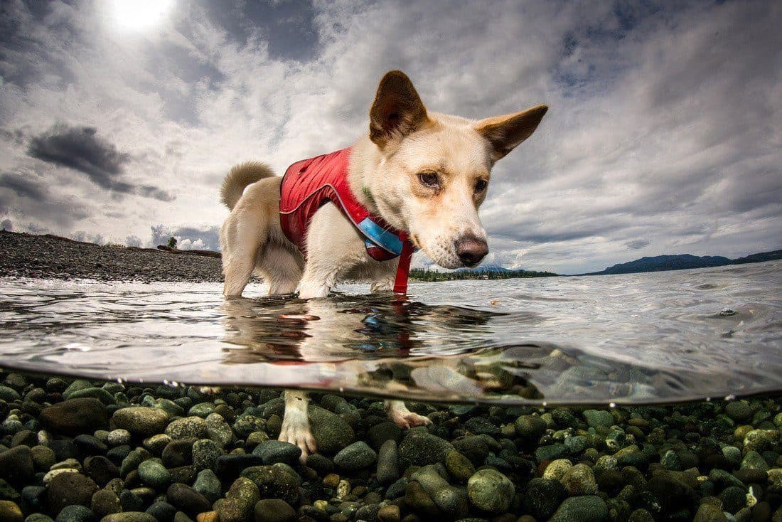 Imagen del producto 12