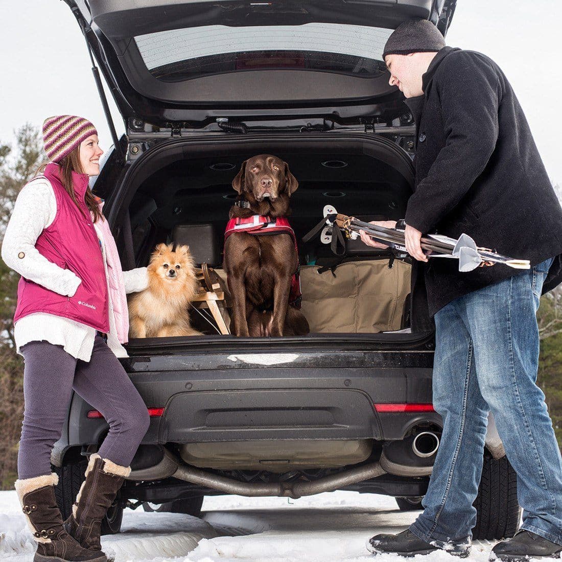 Imagen del producto 13