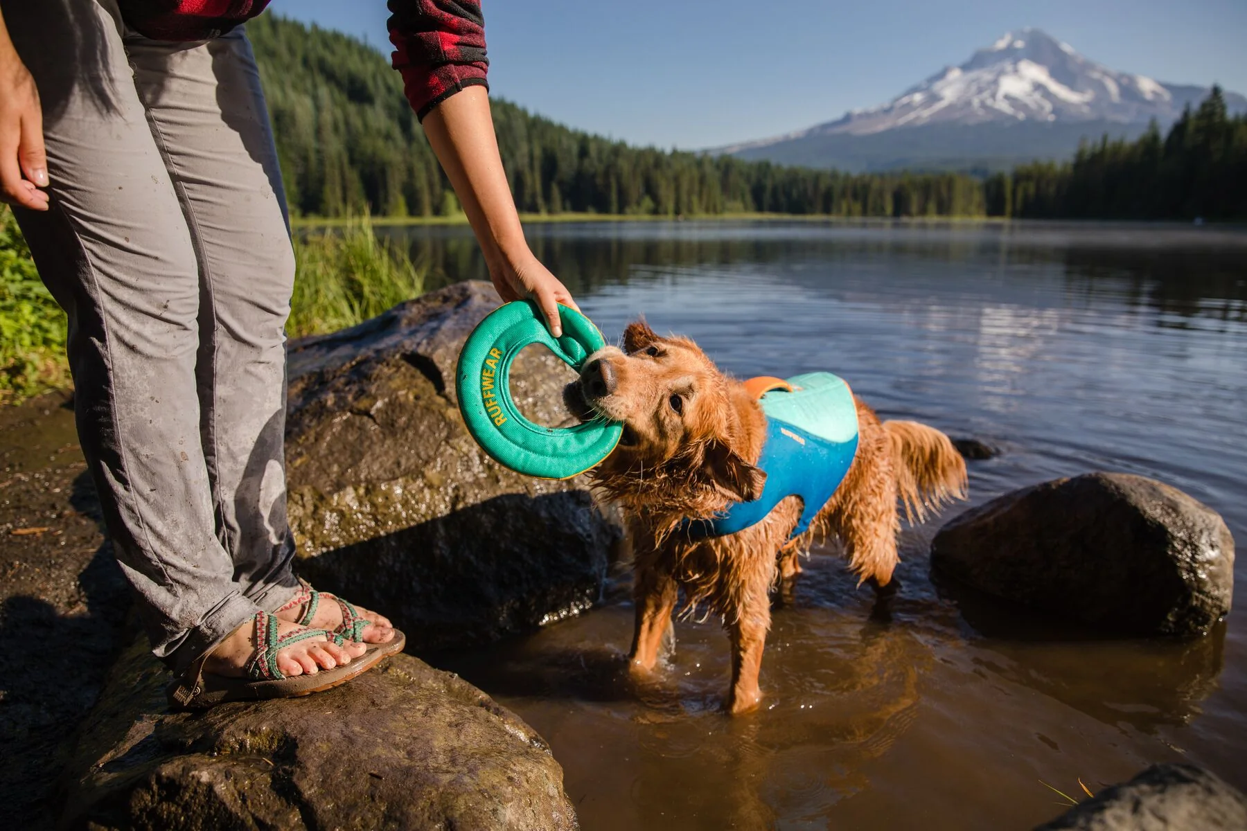 Imagen del producto 29