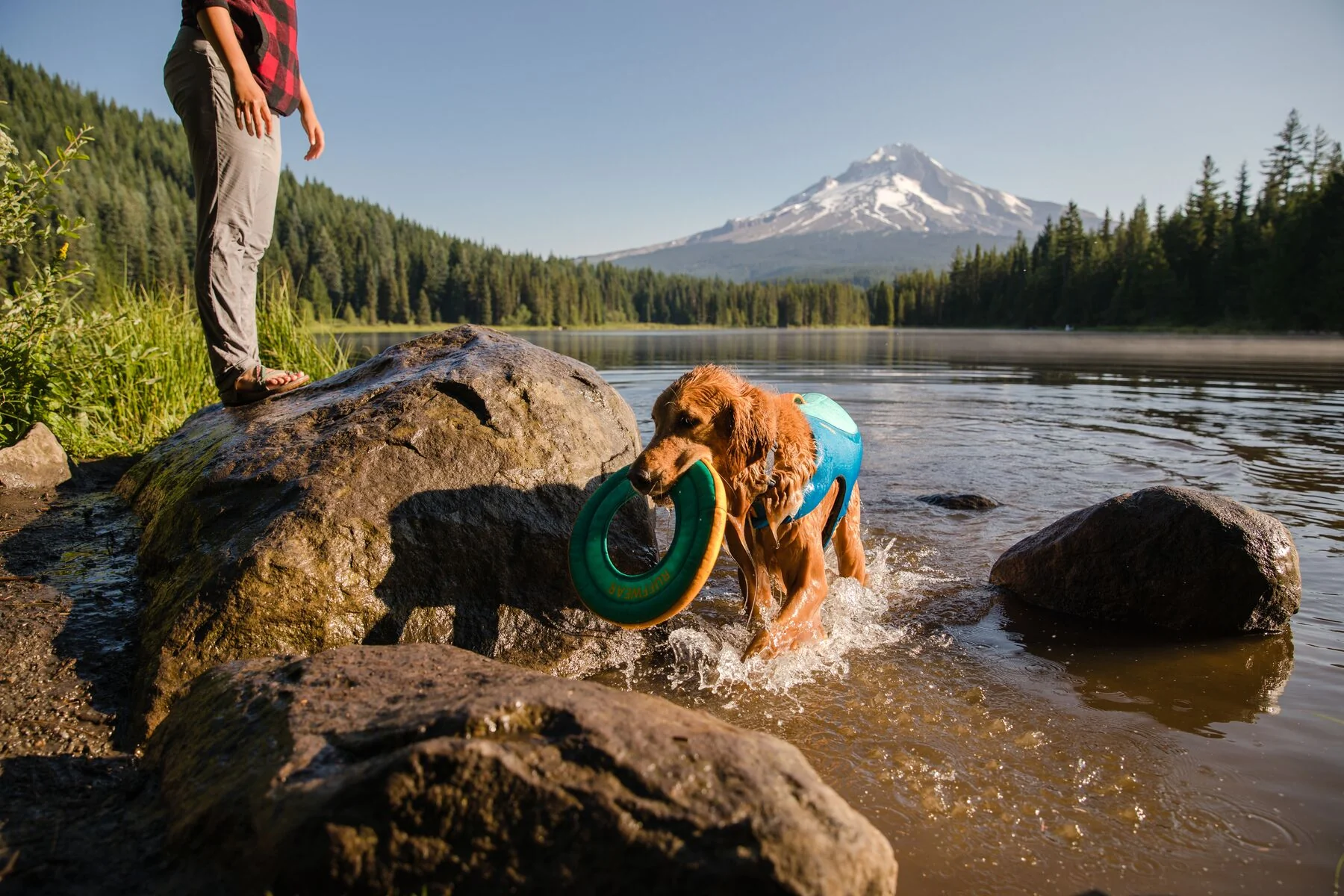 Imagen del producto 41