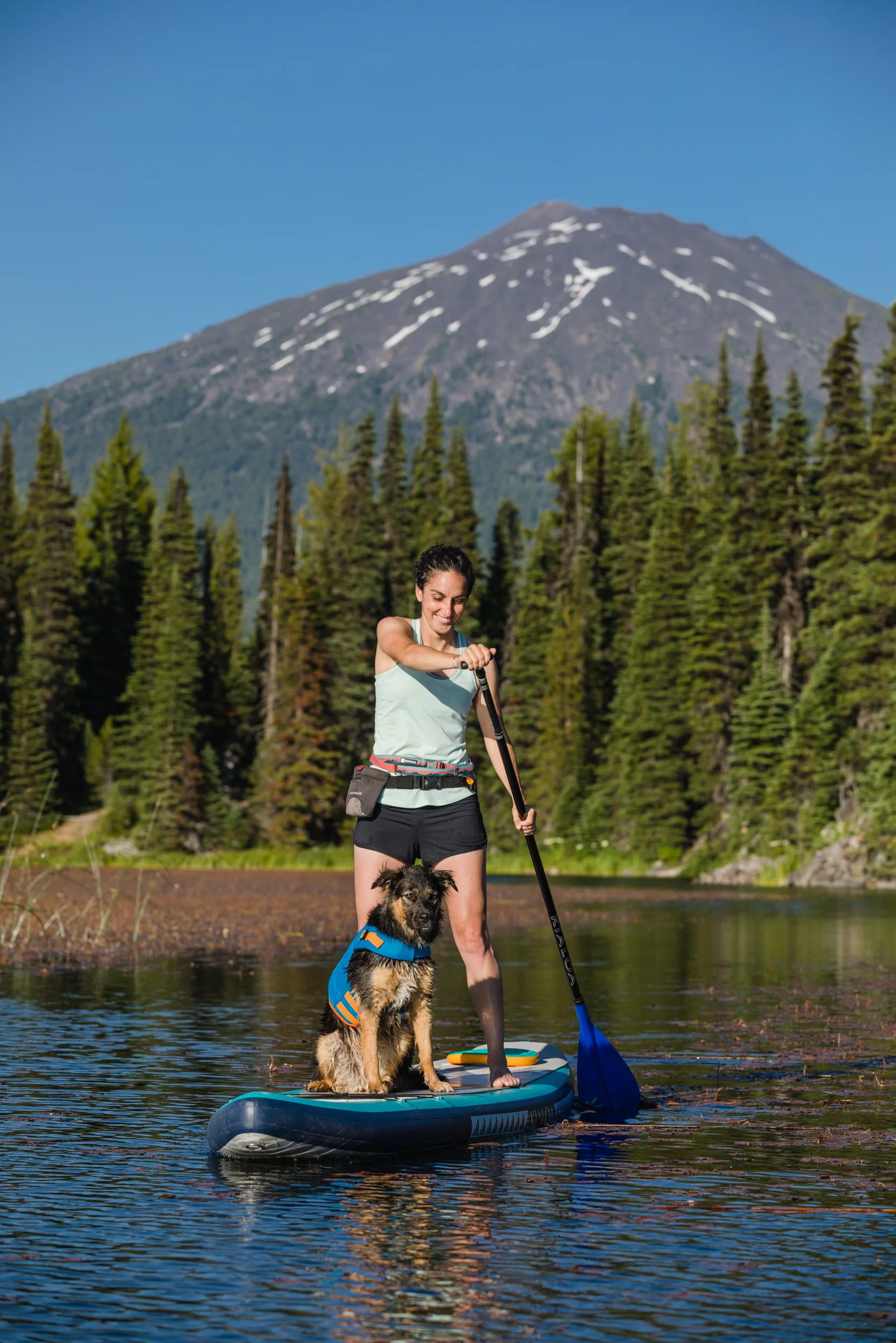 Imagen del producto 43