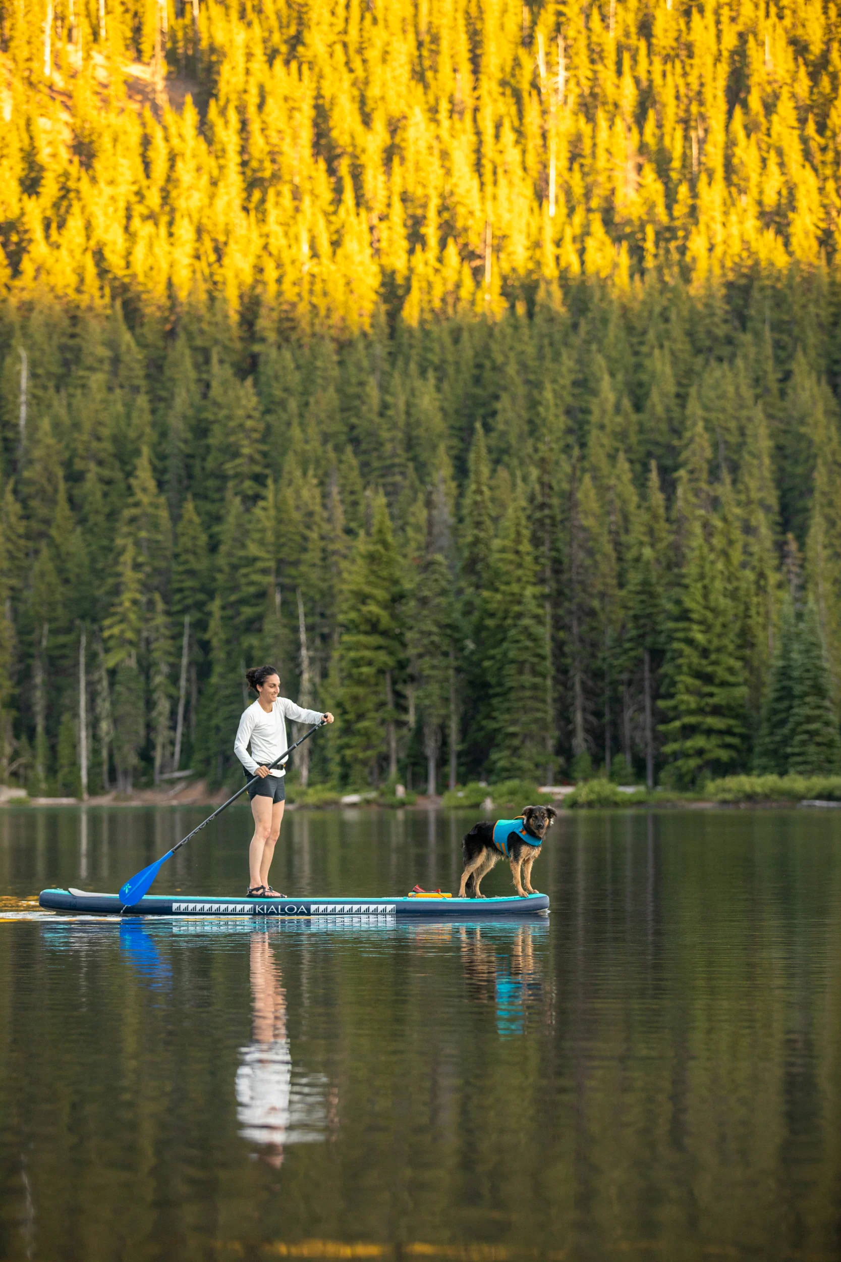 Imagen del producto 45