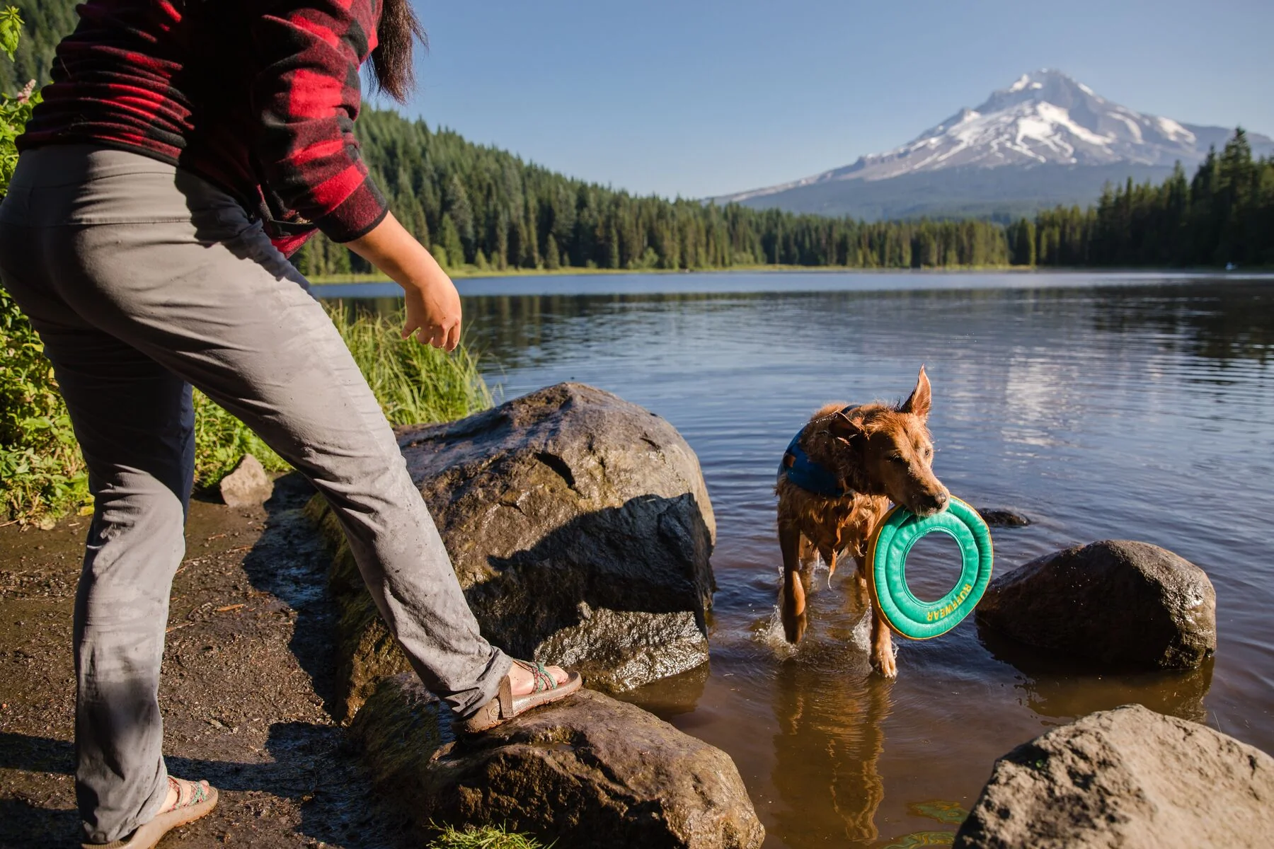 Imagen del producto 12