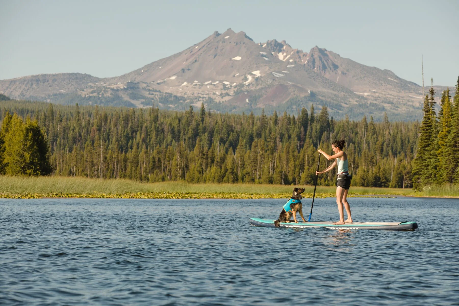 Imagen del producto 15