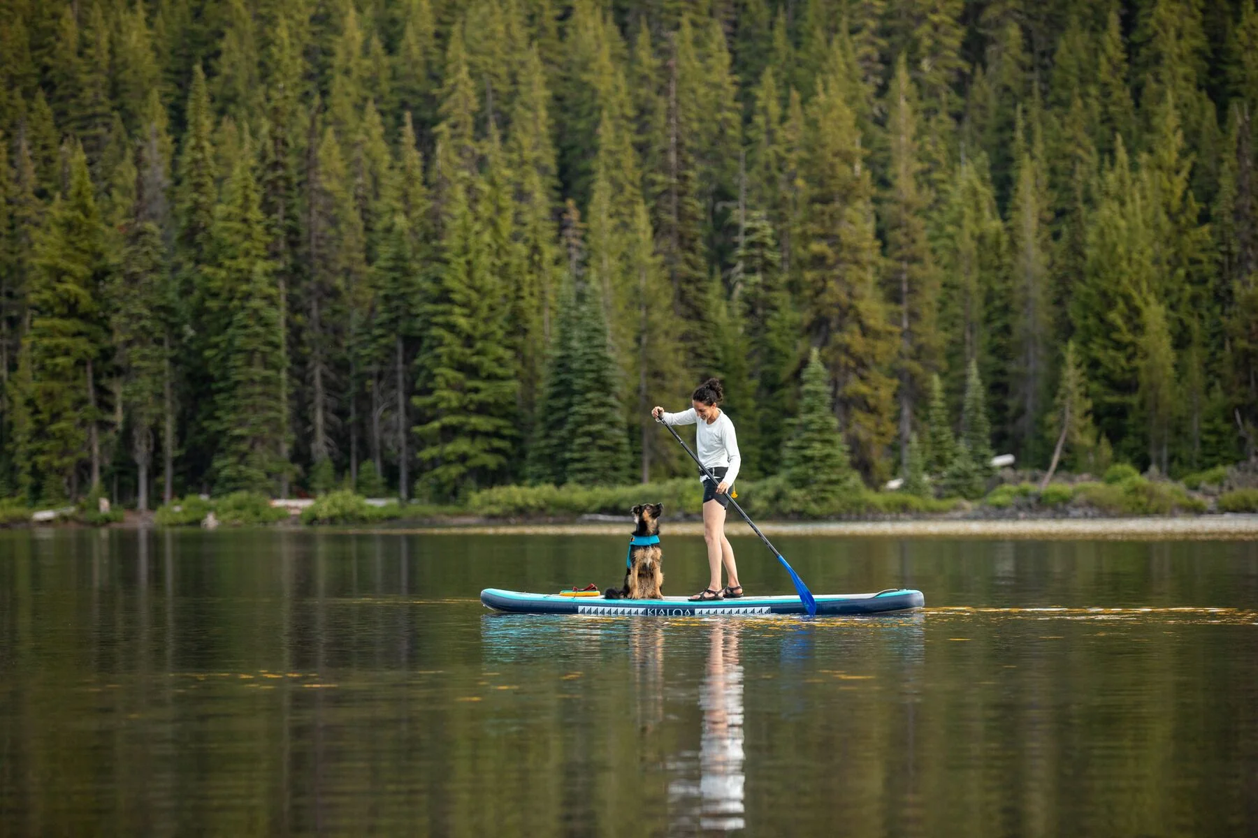 Imagen del producto 27