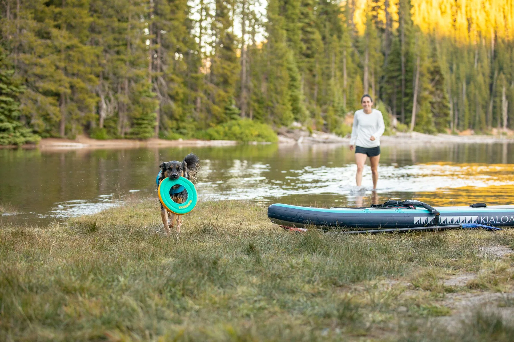 Imagen del producto 38