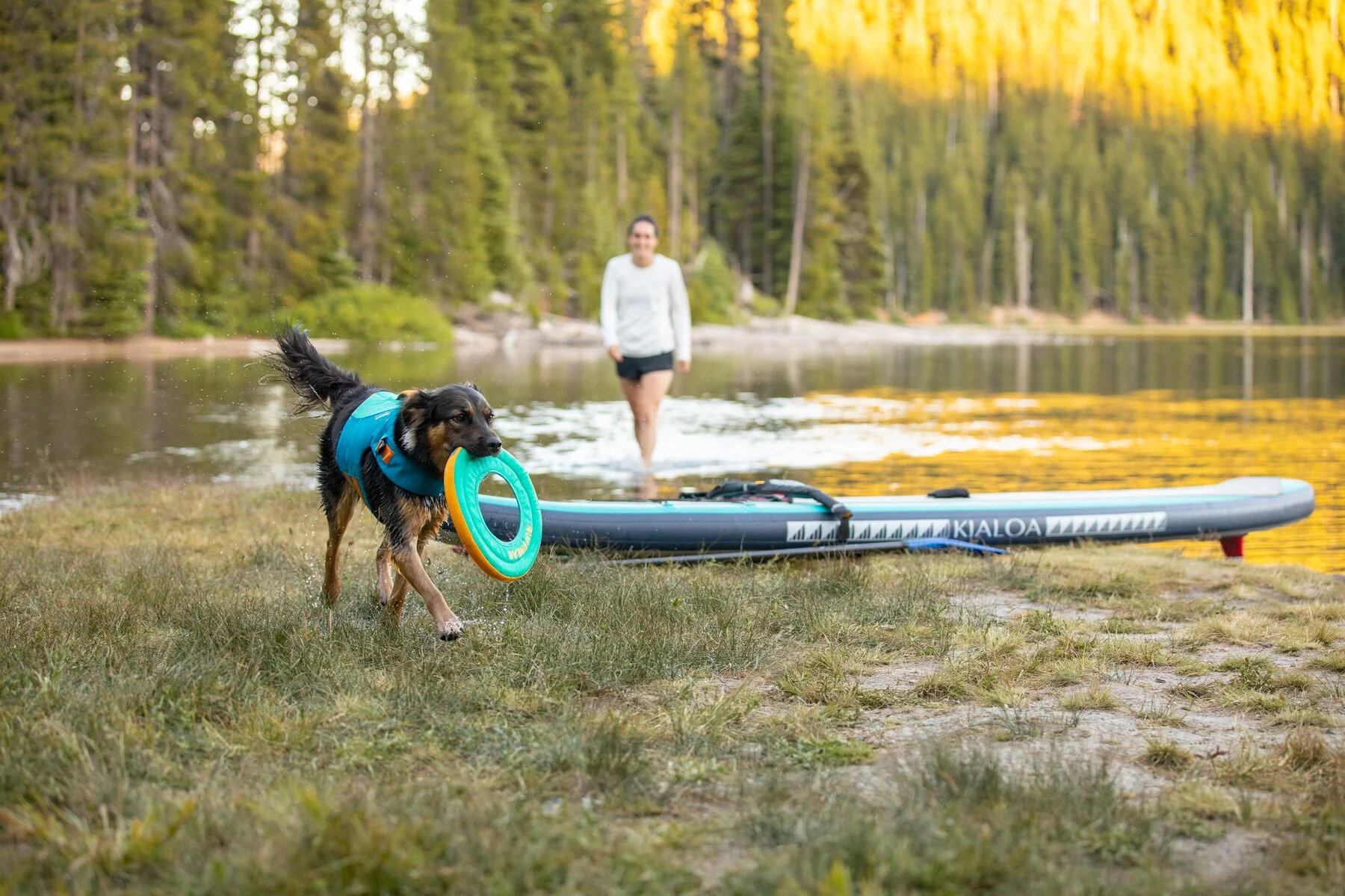 Imagen del producto 39