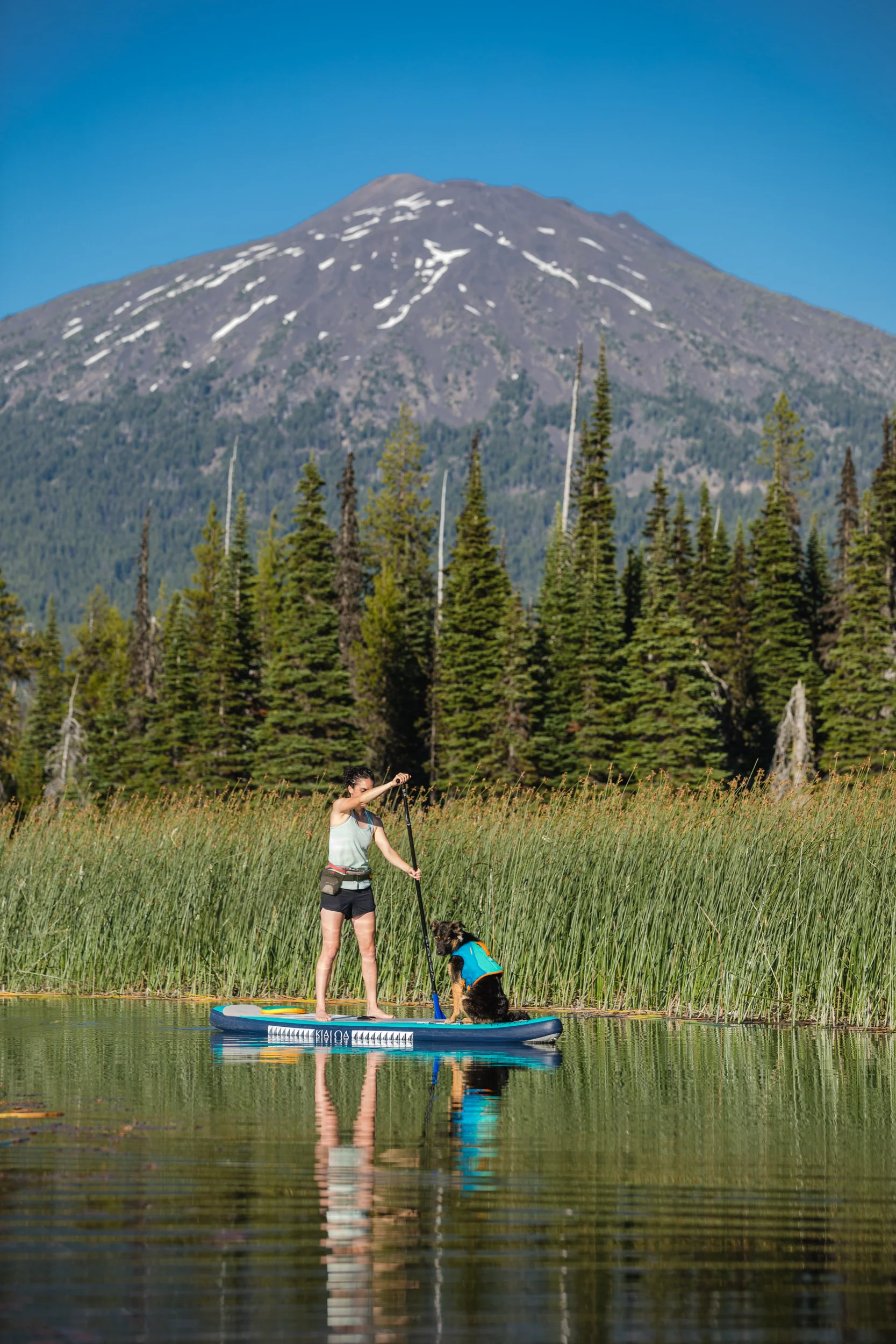 Imagen del producto 44