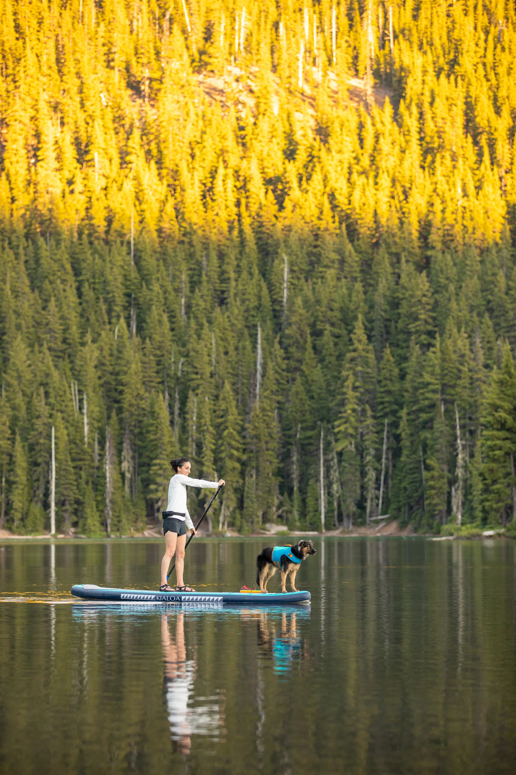 Imagen del producto 46