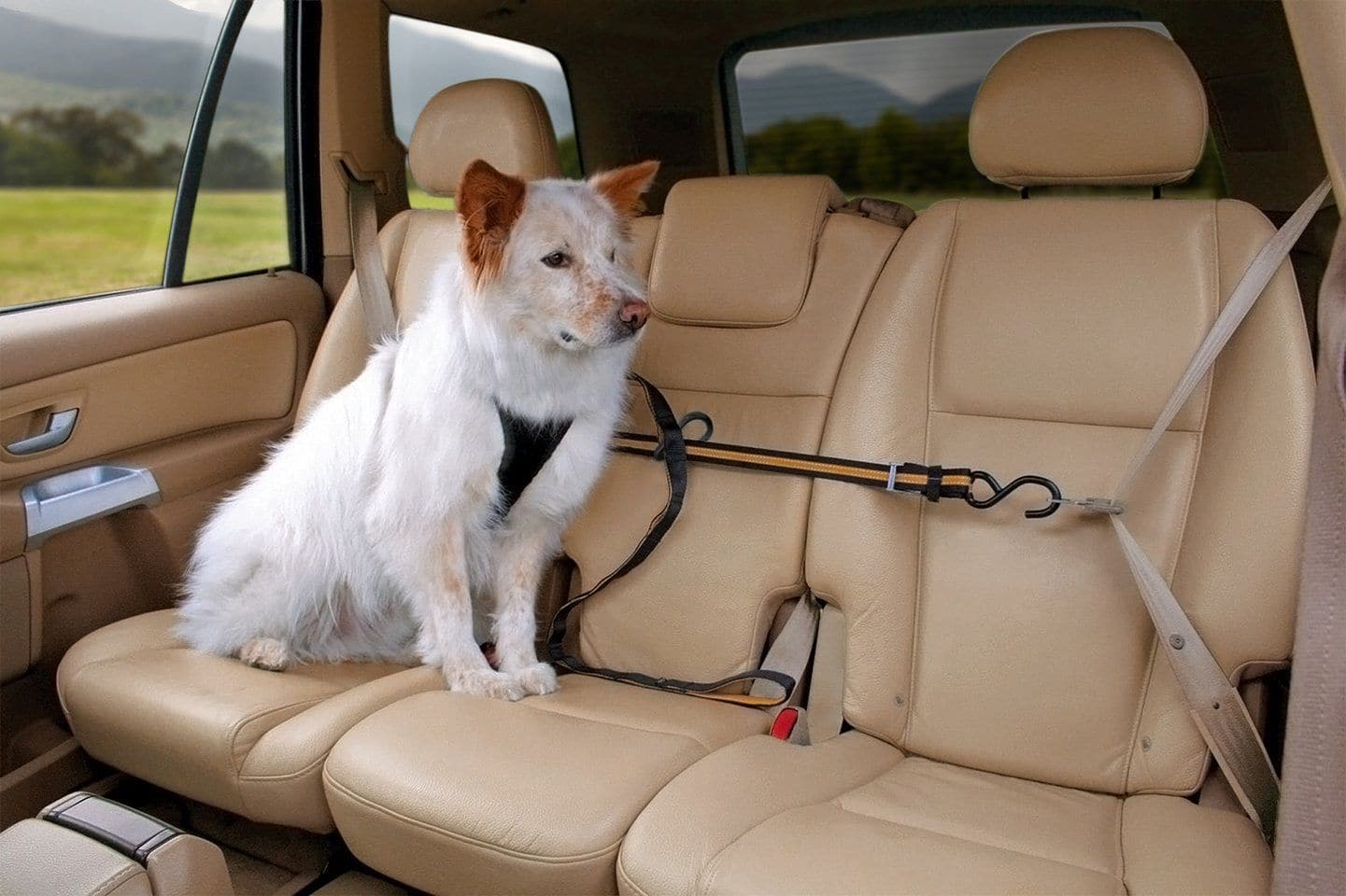 Imagen del producto 6